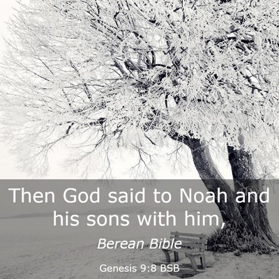 Picture 03 - Genesis 9:8 BSB - Then God said to Noah and his sons with - Bible Verse Picture