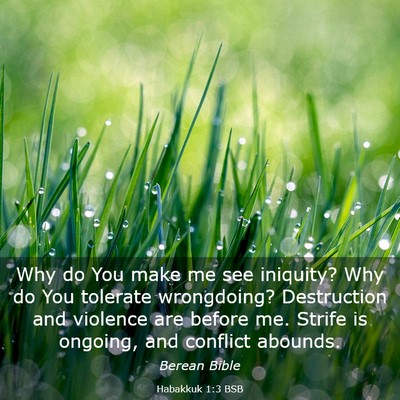 Picture 03 - Habakkuk 1:3 BSB - Why do You make me see iniquity? Why do You - Bible Verse Picture