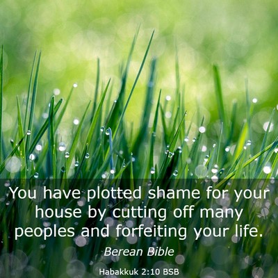 Picture 03 - Habakkuk 2:10 BSB - You have plotted shame for your house by cutting - Bible Verse Picture