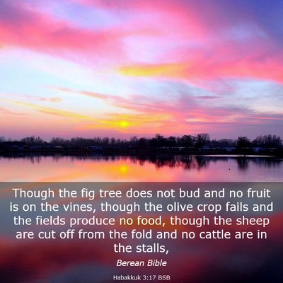 Picture 03 - Habakkuk 3:17 BSB - Though the fig tree does not bud and no fruit is - Bible Verse Picture