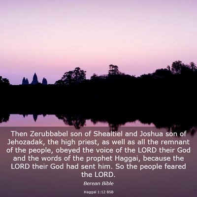 Picture 03 - Haggai 1:12 BSB - Then Zerubbabel son of Shealtiel and Joshua son - Bible Verse Picture
