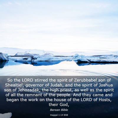 Picture 03 - Haggai 1:14 BSB - So the LORD stirred the spirit of Zerubbabel son - Bible Verse Picture