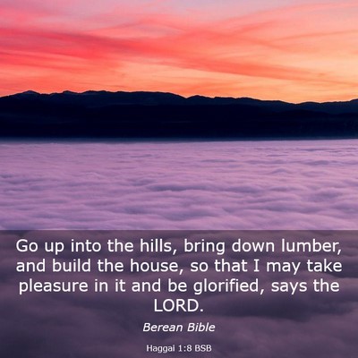 Picture 03 - Haggai 1:8 BSB - Go up into the hills, bring down lumber, and - Bible Verse Picture