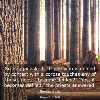 Picture 03 - Haggai 2:13 BSB - So Haggai asked, “If one who is defiled by - Bible Verse Picture