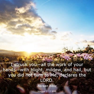 Picture 03 - Haggai 2:17 BSB - I struck you—all the work of your hands—with - Bible Verse Picture