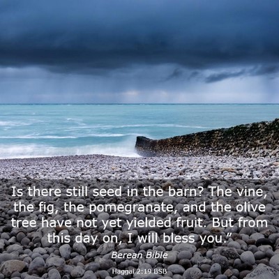 Picture 03 - Haggai 2:19 BSB - Is there still seed in the barn? The vine, the - Bible Verse Picture