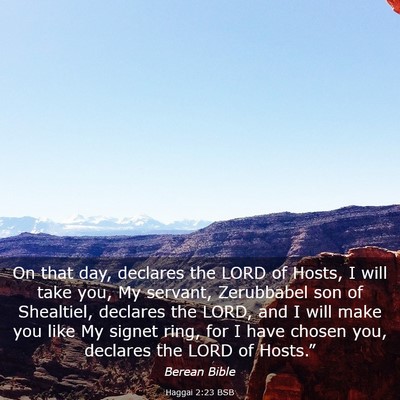 Picture 03 - Haggai 2:23 BSB - On that day, declares the LORD of Hosts, I will - Bible Verse Picture