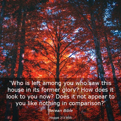 Picture 03 - Haggai 2:3 BSB - ‘Who is left among you who saw this house in - Bible Verse Picture