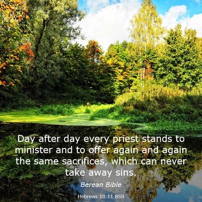 Picture 03 - Hebrews 10:11 BSB - Day after day every priest stands to minister and - Bible Verse Picture
