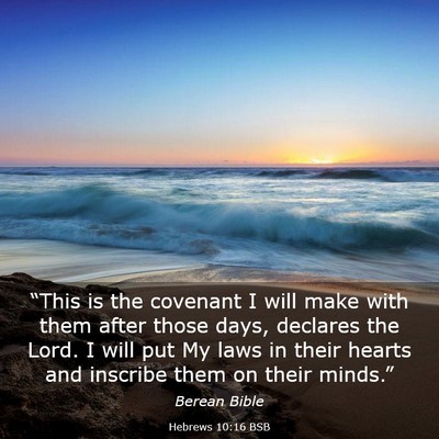 Picture 03 - Hebrews 10:16 BSB - “This is the covenant I will make with them - Bible Verse Picture