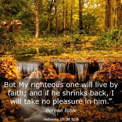 Picture 03 - Hebrews 10:38 BSB - But My righteous one will live by faith; and if - Bible Verse Picture