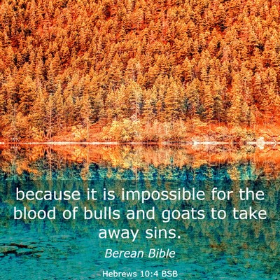 Picture 03 - Hebrews 10:4 BSB - because it is impossible for the blood of bulls - Bible Verse Picture
