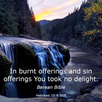 Picture 03 - Hebrews 10:6 BSB - In burnt offerings and sin offerings You took no - Bible Verse Picture