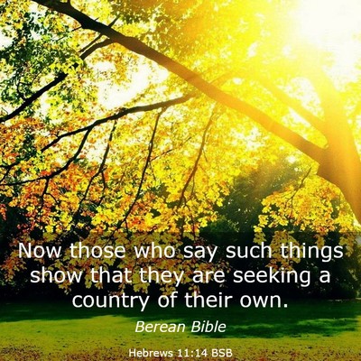 Picture 03 - Hebrews 11:14 BSB - Now those who say such things show that they are - Bible Verse Picture