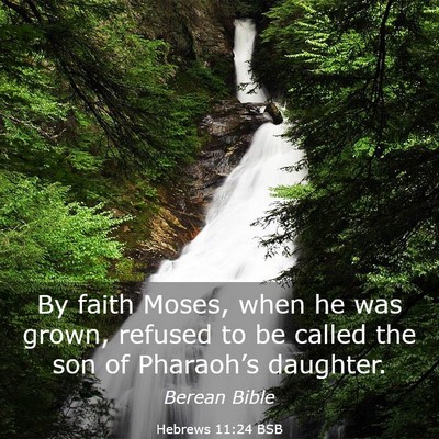 Picture 03 - Hebrews 11:24 BSB - By faith Moses, when he was grown, refused to be - Bible Verse Picture