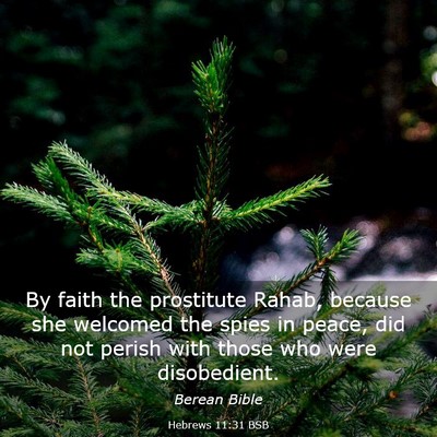 Picture 03 - Hebrews 11:31 BSB - By faith the prostitute Rahab, because she - Bible Verse Picture
