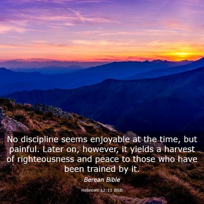 Picture 03 - Hebrews 12:11 BSB - No discipline seems enjoyable at the time, but - Bible Verse Picture