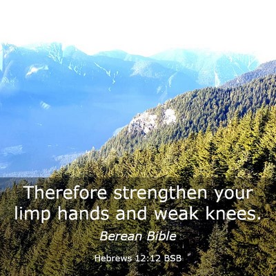 Picture 03 - Hebrews 12:12 BSB - Therefore strengthen your limp hands and weak - Bible Verse Picture