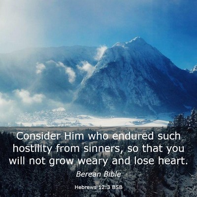 Picture 03 - Hebrews 12:3 BSB - Consider Him who endured such hostility from - Bible Verse Picture