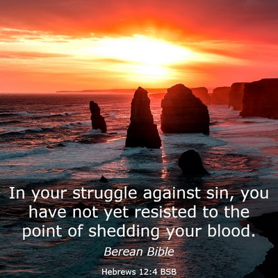 Picture 03 - Hebrews 12:4 BSB - In your struggle against sin, you have not yet - Bible Verse Picture