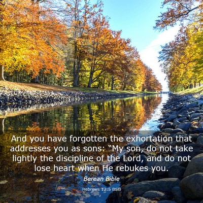 Picture 03 - Hebrews 12:5 BSB - And you have forgotten the exhortation that - Bible Verse Picture