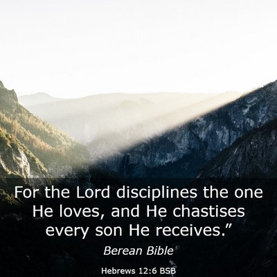 Picture 03 - Hebrews 12:6 BSB - For the Lord disciplines the one He loves, and He - Bible Verse Picture