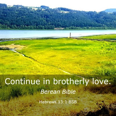 Picture 03 - Hebrews 13:1 BSB - Continue in brotherly - Bible Verse Picture