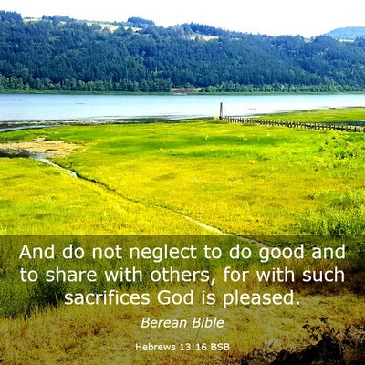 Picture 03 - Hebrews 13:16 BSB - And do not neglect to do good and to share with - Bible Verse Picture