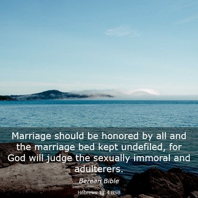 Picture 03 - Hebrews 13:4 BSB - Marriage should be honored by all and the - Bible Verse Picture