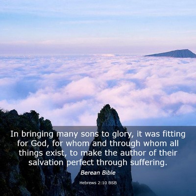 Picture 03 - Hebrews 2:10 BSB - In bringing many sons to glory, it was fitting - Bible Verse Picture