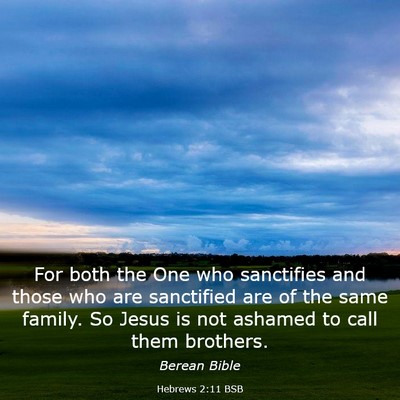 Picture 03 - Hebrews 2:11 BSB - For both the One who sanctifies and those who are - Bible Verse Picture
