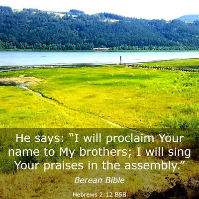 Picture 03 - Hebrews 2:12 BSB - He says: “I will proclaim Your name to My - Bible Verse Picture