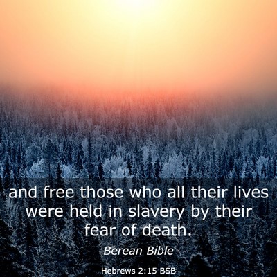 Picture 03 - Hebrews 2:15 BSB - and free those who all their lives were held in - Bible Verse Picture