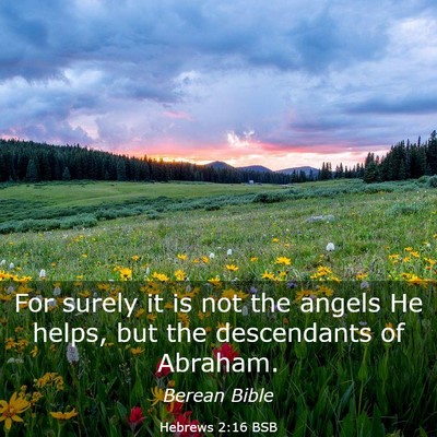 Picture 03 - Hebrews 2:16 BSB - For surely it is not the angels He helps, but the - Bible Verse Picture