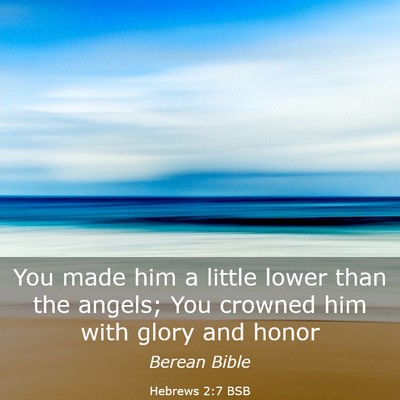 Picture 03 - Hebrews 2:7 BSB - You made him a little lower than the angels; You - Bible Verse Picture
