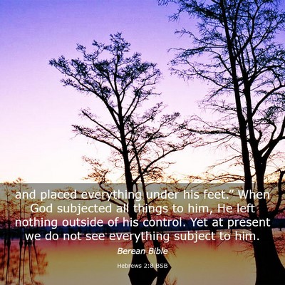 Picture 03 - Hebrews 2:8 BSB - and placed everything under his feet.” When God - Bible Verse Picture