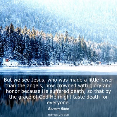 Picture 03 - Hebrews 2:9 BSB - But we see Jesus, who was made a little lower - Bible Verse Picture