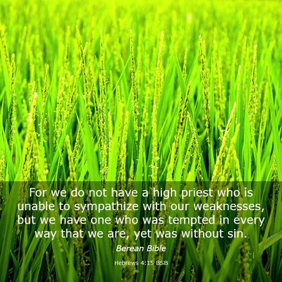 Picture 03 - Hebrews 4:15 BSB - For we do not have a high priest who is unable to - Bible Verse Picture