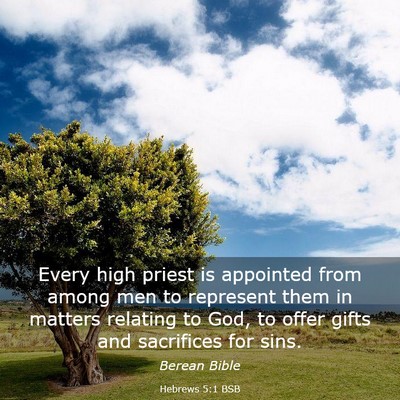 Picture 03 - Hebrews 5:1 BSB - Every high priest is appointed from among men to - Bible Verse Picture