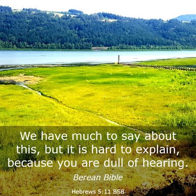 Picture 03 - Hebrews 5:11 BSB - We have much to say about this, but it is hard to - Bible Verse Picture