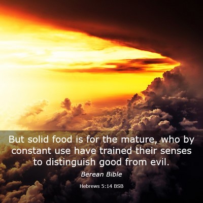 Picture 03 - Hebrews 5:14 BSB - But solid food is for the mature, who by constant - Bible Verse Picture