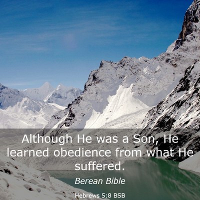 Picture 03 - Hebrews 5:8 BSB - Although He was a Son, He learned obedience from - Bible Verse Picture