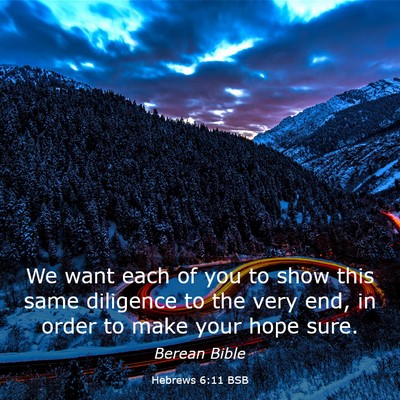 Picture 03 - Hebrews 6:11 BSB - We want each of you to show this same diligence - Bible Verse Picture