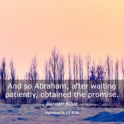 Picture 03 - Hebrews 6:15 BSB - And so Abraham, after waiting patiently, obtained - Bible Verse Picture