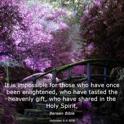 Picture 03 - Hebrews 6:4 BSB - It is impossible for those who have once been - Bible Verse Picture