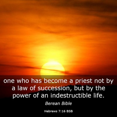 Picture 03 - Hebrews 7:16 BSB - one who has become a priest not by a law of - Bible Verse Picture