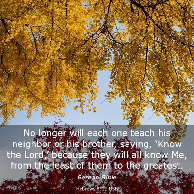 Picture 03 - Hebrews 8:11 BSB - No longer will each one teach his neighbor or his - Bible Verse Picture