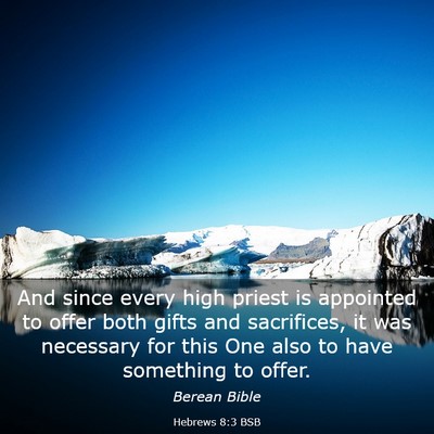 Picture 03 - Hebrews 8:3 BSB - And since every high priest is appointed to offer - Bible Verse Picture
