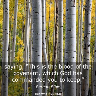 Picture 03 - Hebrews 9:20 BSB - saying, “This is the blood of the covenant, - Bible Verse Picture