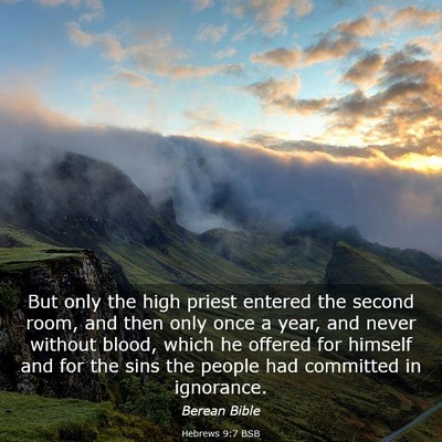 Picture 03 - Hebrews 9:7 BSB - But only the high priest entered the second room, - Bible Verse Picture